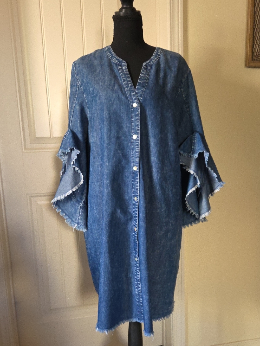 Given Kale Women's Denim Shirt Dress Flare Flutter Sleeve Raw Hem, Size XL